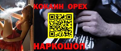 сатива Кингисепп