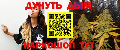сатива Кингисепп