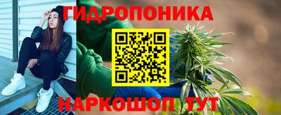 гидропоника Кинель
