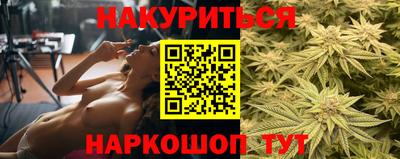сатива Кингисепп