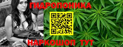 наркотики Кимры
