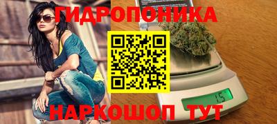 гидропоника Кинель