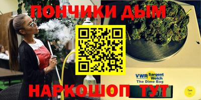 сатива Кингисепп