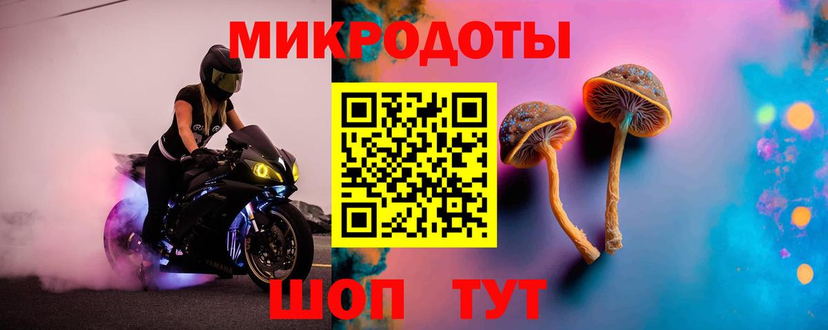 Когалым  Псилоцибиновые грибы Psilocybe  Вход с VPN 